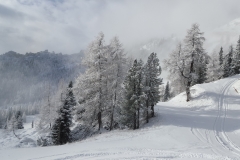 20160104_105218-min