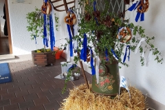 impressionen13